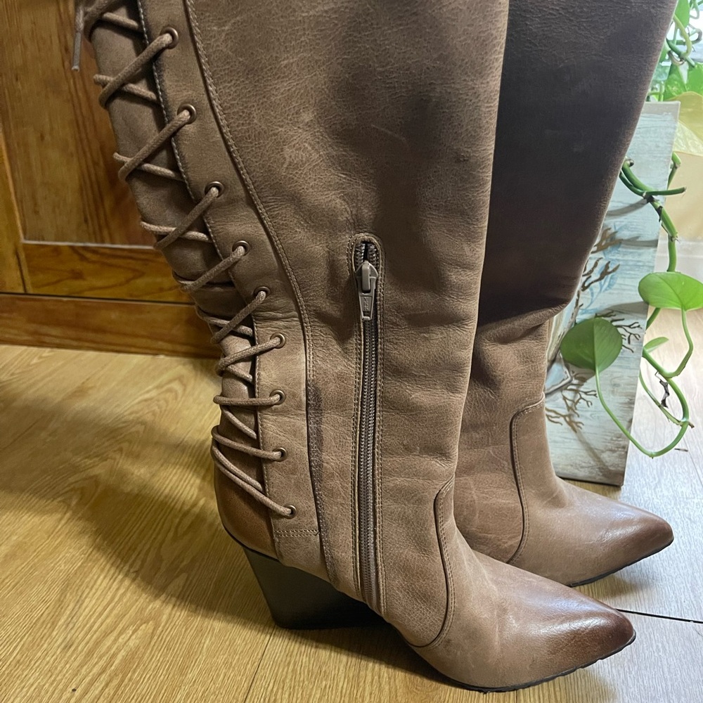 Brown  Pointed Toe Boots